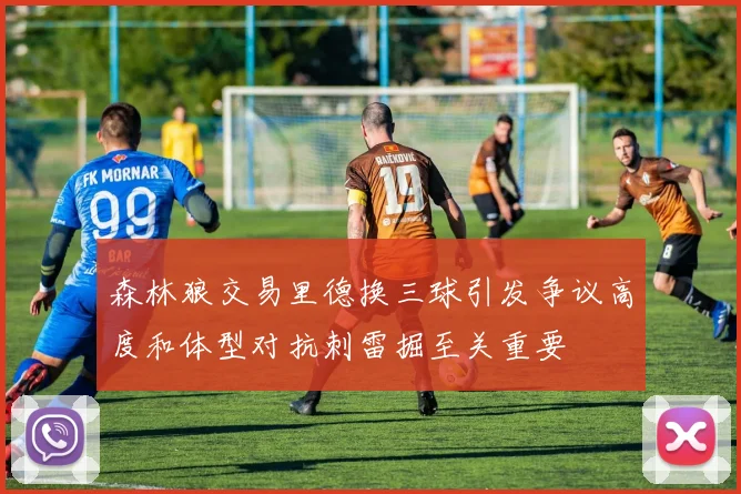 森林狼交易里德换三球引发争议高度和体型对抗刺雷掘至关重要