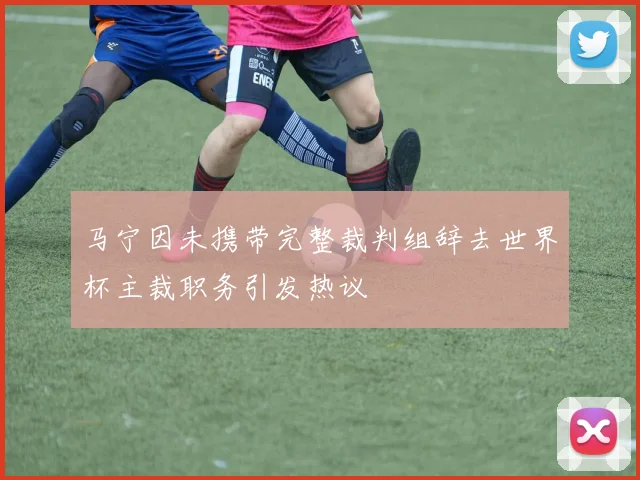 马宁因未携带完整裁判组辞去世界杯主裁职务引发热议