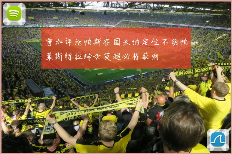 曾加评论帕斯在国米的定位不明帕莱斯特拉转会英超必将获利